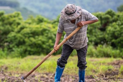 Undang-Undang Agraria 1870: Strategi Kolonial Belanda Menguasai Tanah Pribumi