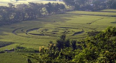Misteri Crop Circle di Berbah Sleman yang Muncul 14 Tahun Lalu, Benarkah Jejak Pendaratan UFO?