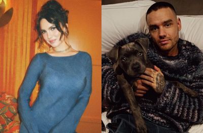 Fiksi Jadi Nyata! Maya Henry Tulis Tragedi Mirip dengan Kematian Liam Payne di Novelnya