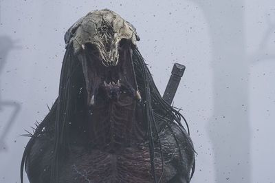 Review Film Prey (2022), Prekuel Franchise Predator yang Sukses Melepas Rindu Penggemar