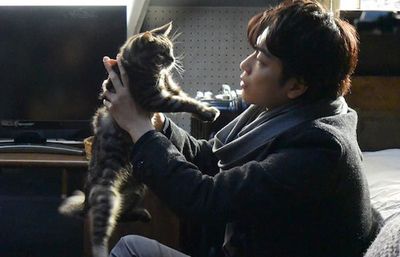 Review Film If Cats Disappeared from the World (2016), Relakah Kehilangan Kenangan Demi Hindari Kematian?