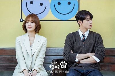 Dibintangi Cha Eun Woo, Ini 5 Alasan Drama Korea A Good Day To Be A Dog Menarik Untuk Kamu Tonton!