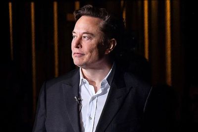 Terungkap! Makna Nama Anak Kembar Elon Musk Terinspirasi Film dan Game Favoritnya