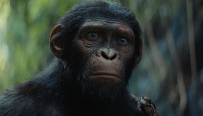 Aksi Para Kera Terus Berlanjut, Kingdom of the Planet of the Apes Rilis Mei 2024