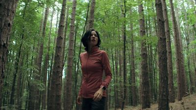 Sinopsis Film Horor Thriller Don t Move : Perjuangan Bertahan Hidup dari Kejaran Pembunuh Berantai