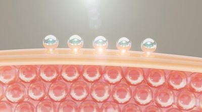 Mengenal Oxybiome, Kandungan Beroksigen yang Bisa Cerahkan Wajah 2 Kali Lebih Cepat, Remaja Wajib Tahu!