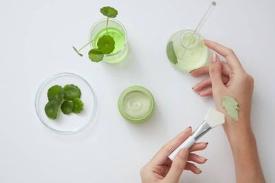 5 Manfaat Centella Asiatica untuk Kulit Sensitif: Solusi Alami untuk Kulit Sehat dan Terawat