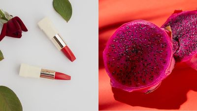 Cara Membuat Lipstik Merah Alami dengan Buah Naga di Rumah