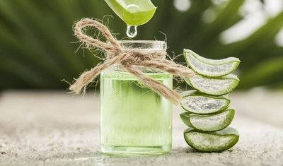 Khasiat Lidah Buaya dan Teh Hijau untuk Mengatasi Jerawat