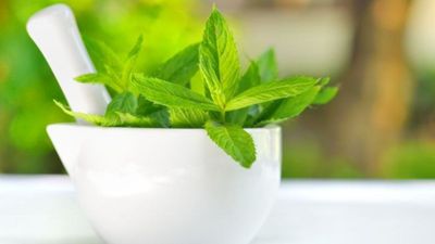 4 Masker Alami dari Daun Mint untuk Kulit Cerah
