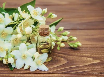 17 Ide Nama Usaha Parfum Melati Kekinian dan Estetik Buat Kamu yang Mau Cuan 