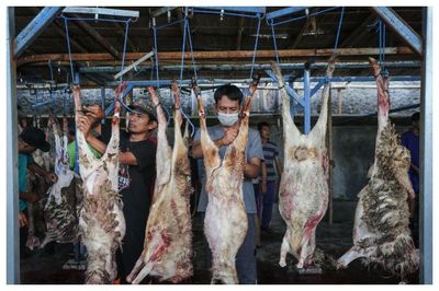 Hati-hati! Wanita Hamil Disarankan Tak Konsumsi Daging Kambing Berlebihan