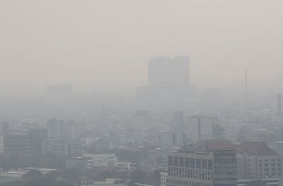 Mau Cek Kualitas Udara Tanpa Alat? Begini Caranya!