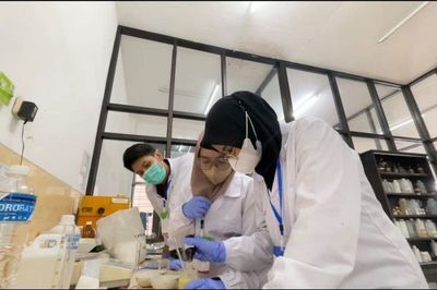 Mahasiswa UMM Bikin Alat Kontrasepsi dari Leunca: Tinggal Tempel Langsung Terasa