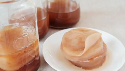 Jadi Tren Gen Z, #KAMUHARUSTAU Nih Manfaat Pelihara Scoby di Rumah untuk Kesehatan