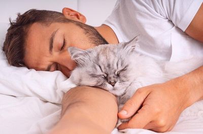 Tidur sama Kucing di Malam Hari Bisa Menghilangkan Stres atau Justru Bawa Penyakit Sih? Ini Faktanya