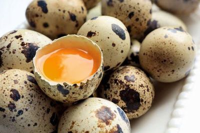 Telur Puyuh: Sumber Kolin untuk Daya Ingat yang Lebih Baik