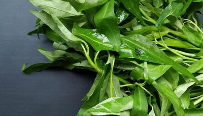 9 Manfaat Tersembunyi Kangkung, Menurunkan Kolesterol Hingga Meningkatkan Kekebalan Tubuh
