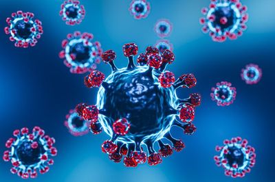 Hong Kong Menghadapi Kasus Pertama Virus B pada Manusia