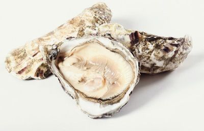 Apakah Berbahaya Makan Kerang Saat Hamil? Begini Penjelasan Dokter