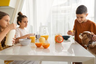Pentingnya Sarapan Sehat Setiap Hari Untuk Prestasi dan Motivasi Anak