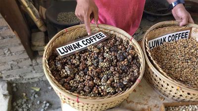 4 Manfaat Kopi Luwak untuk Kesehatan, Bisa Cegah Diabetes!