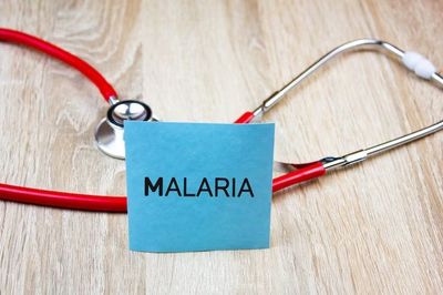 9 Cara Mencegah Penyakit Malaria, Pengasapan Hingga Penggunaan Minyak Tanah
