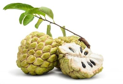 8 Manfaat Buah Srikaya untuk Kesehatan yang Jarang Diketahui