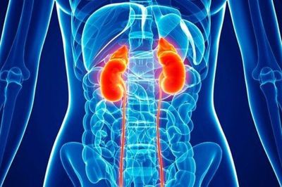 Diabetes Disertai Penyakit Gagal Ginjal, Makanan Apa yang Harus Dikonsumsi?