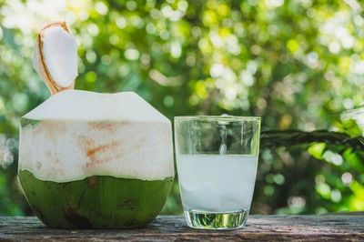 5 Minuman Sehat yang Bikin Tubuh Tetap Energi Saat Puasa