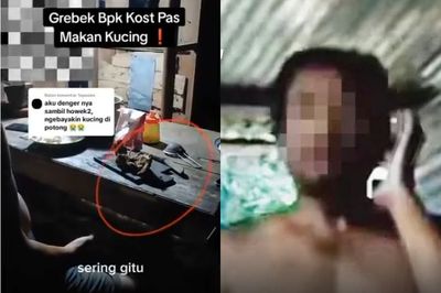 Viral Bapak Kos di Semarang Makan Kucing, Ngaku Udah 10 Kali untuk Obati Diabetes
