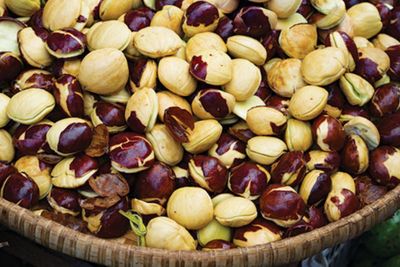 7 Manfaat Jengkol untuk Kesehatan yang Wajib Kamu Tahu