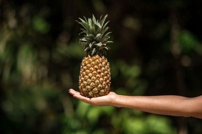 Perbedaan Kandungan Gizi Nanas dan Buah Lain untuk Penderita Diabetes