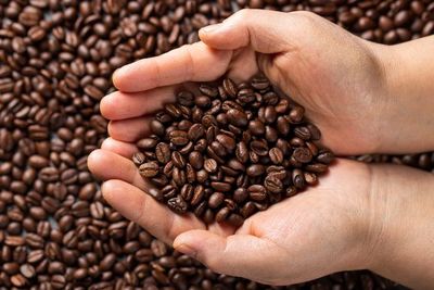 Benarkah Minum Kopi Bisa Bikin Umur Panjang? Ini Fakta yang Harus Kamu Tahu!
