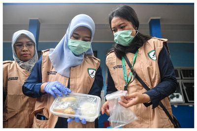 Kadar Gizi pada Program Makan Bergizi Gratis di Sejumlah Titik, Simak Kandungannya