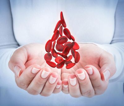 Catat! Kelompok Usia yang Rentan Alami Anemia, Jangan Lupa Skrining