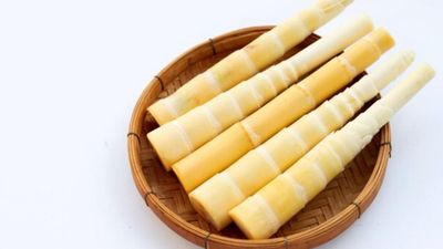 7 Manfaat Rebung untuk Kesehatan Tubuh yang Jarang Diketahui