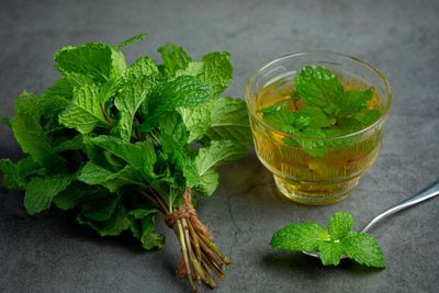 7 Manfaat Daun Mint untuk Kesehatan yang Perlu Kamu Tahu