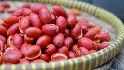 7 Manfaat Kulit Melinjo untuk Kesehatan Tubuh yang Jarang Diketahui