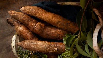 7 Manfaat Singkong untuk Kesehatan yang Jarang Diketahui
