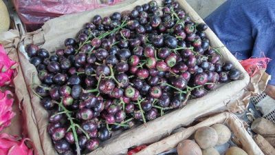7 Manfaat Kesehatan dari Buah Gowok, Buah Tradisional yang Mulai Dilupakan