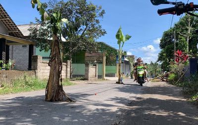 Viral! Kesal Rusak Parah, Warga Sulap Jalan Umum Jadi Kebun Pisang