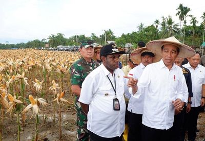 Gempa 5,0 Mengguncang saat Jokowi Makan Siang di Jayapura