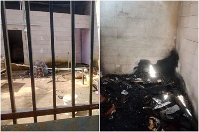 Kesal karena Dipecat, Eks Karyawan Ini Nekat Bakar Shalter Kucing di Bogor