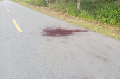 Sadis! Pria di Papua Bantai Istri dan Anak Sambung Pakai Parang sampai Tewas