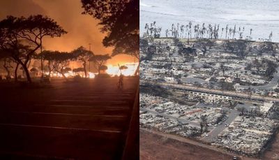 53 Orang Tewas Akibat Kebakaran Hutan di Hawai, Pulau Surga Wisata Dunia Hangus Menghitam