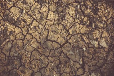 Parepare Terancam Kekeringan Akibat Fenomena El Nino, Pemda: Jangan Boros Air!