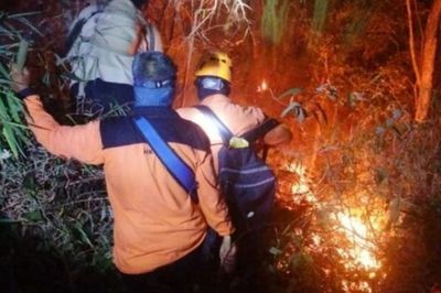 Area Hutan Gunung Ciremai Terbakar, Angin Kencang hingga Banyak Bebatuan Sulitkan Petugas Padamkan Api