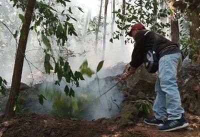 Kebakaran Hutan di Gunung Ciremai Capai 102 Hektare, Sejumlah Titik Api Sudah Terkendali!