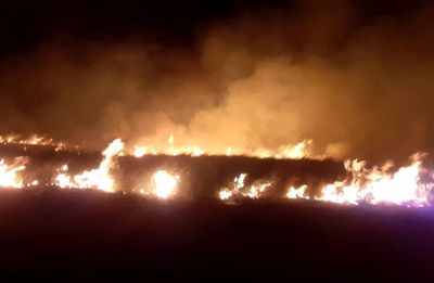 10 Hektare Kawasan Wisata Kawah Wurung Bondowoso Terbakar, Angin Kencang Hambat Pemadaman